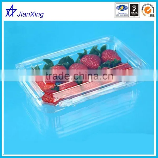 BPA FREE Plastic Disposable Fresh Strawberry Fruit Packaging Box photo-6