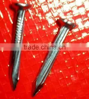 Zimbabwe Market Fast Sell Concrete Nails