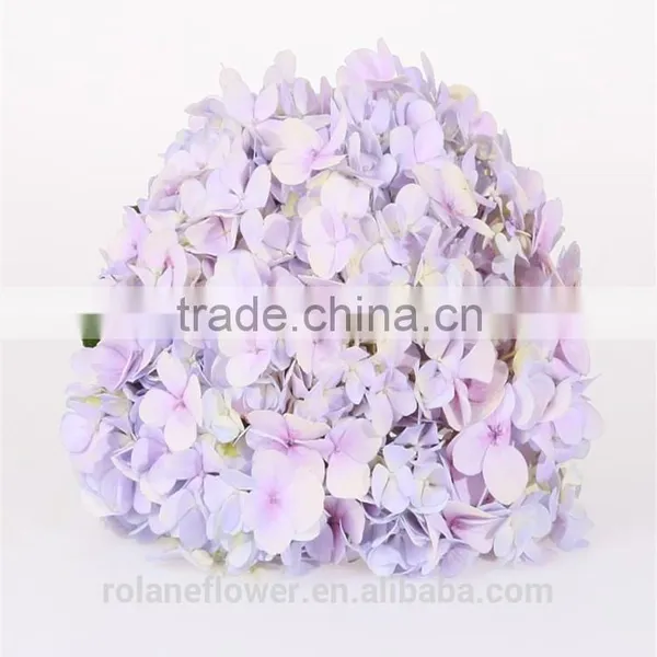 Colorful Hydrangea High Quality Natural White Hydrangea From Yunnan, China photo-4