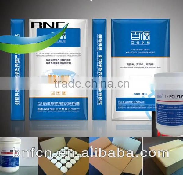 Biological animal feed additives e plylysine