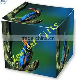 Sticky Paper Cube Memo Pad, Customized Memo Note photo-3
