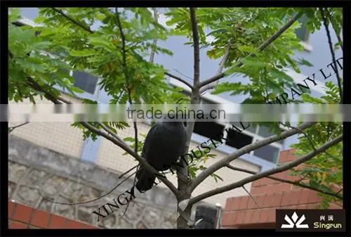Garden Decoration Crow Decoys, Crow Decoys of Black Decoys photo-2