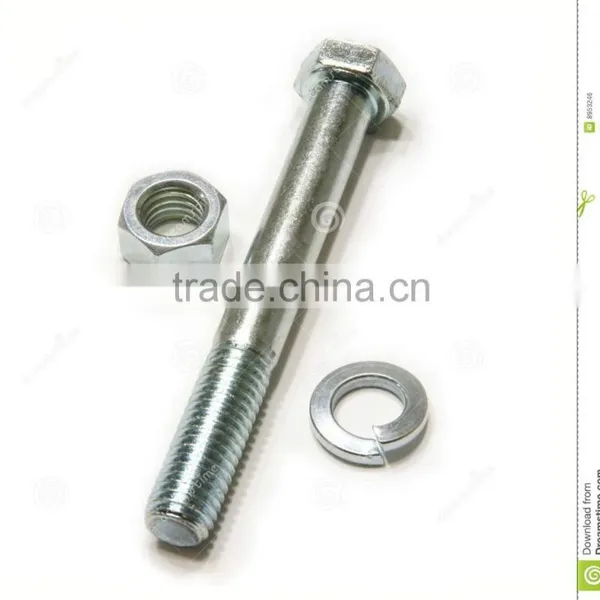 All Kinds Stainless Steel Bolts and Nuts Fasteners Supply