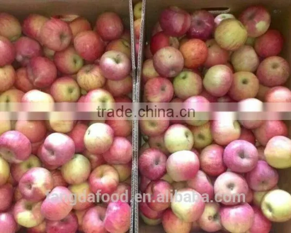 Paper Bagged Qinguan Apple photo-3
