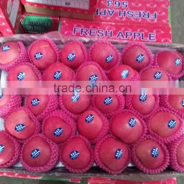 Fresh Apple Fruit for Sale