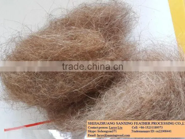 Camel Hair Waste, 40-50mm for Tent and Mattress Using