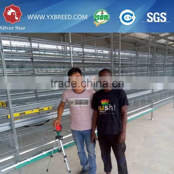2.15m 3 Tiers Layer Chicken Cage for Poultry photo-3