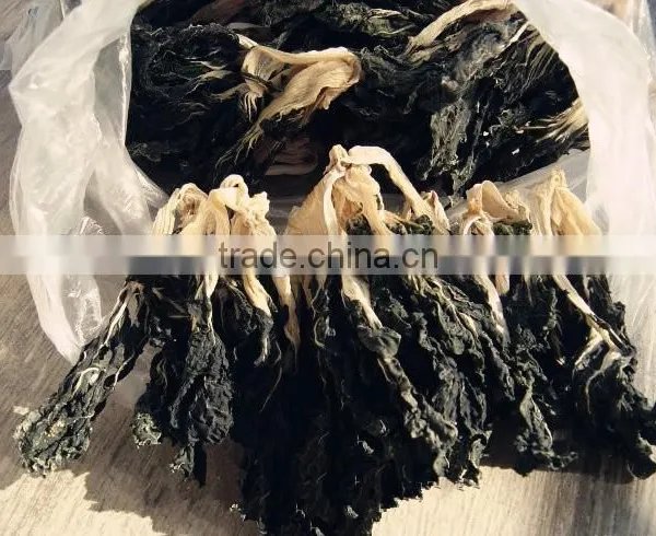 Chinese Commercial Fish Trap Net, Fish Cage Trap photo-4
