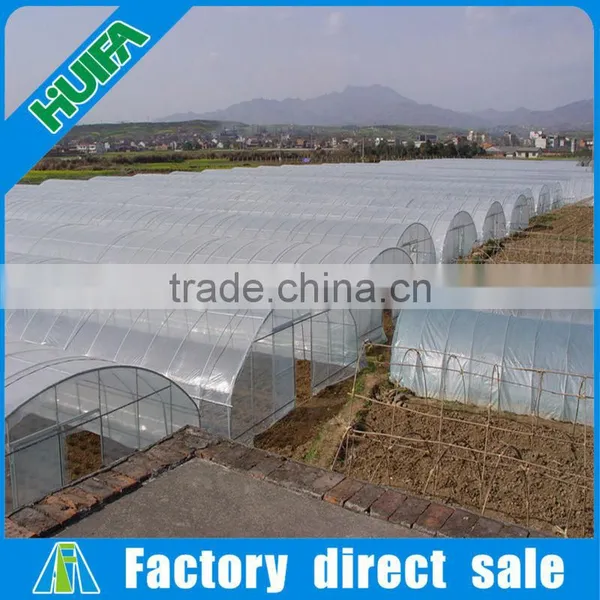 Hot Galvanized Steel ,PE Material and Single Layer Polytunnel Greenhouse