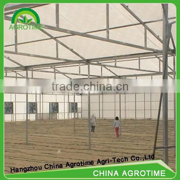 Multi-span Polycarbonate Plastic Sheet Greenhouse for Agriculture