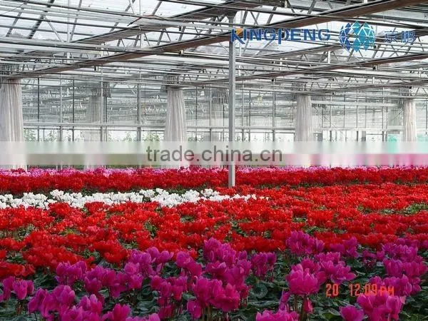 Flower Growing Greenhouse photo-2