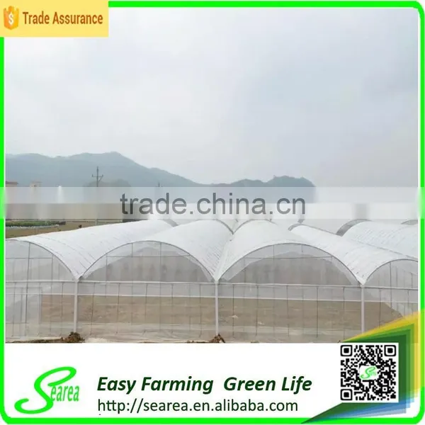 Climate Control Greenhouse With Solar Fan for Sale photo-2