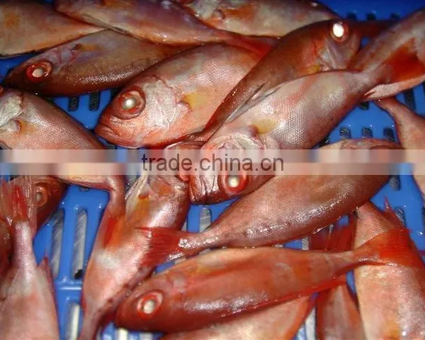 Red Fish