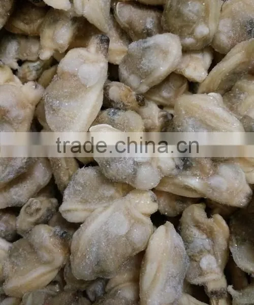 Short Necked Clam Meat For Frozen and Boiled IQF photo-3