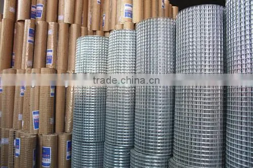 Galvanized Welded Wire Mesh From China Factory photo-2