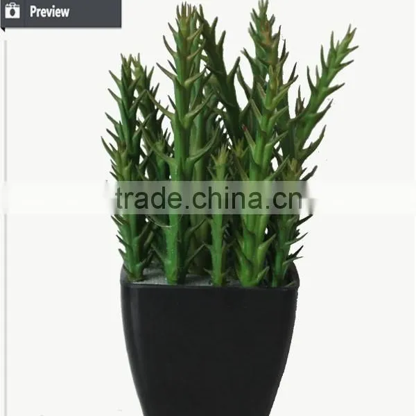 Artificial Wholesale Potted Succulent Plants Smalll Plants Mini Succulent photo-4