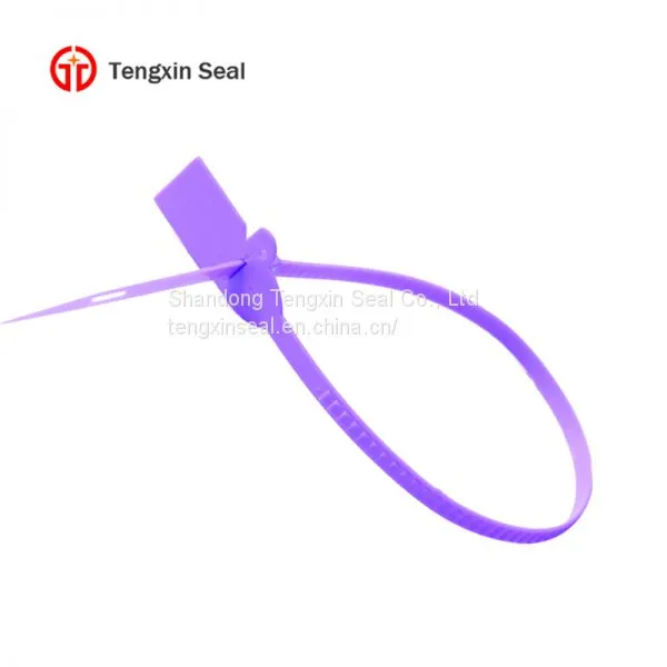 TX-PS211 Off the Shelf Tamper Proof Plastic Seal Tag for Container photo-5