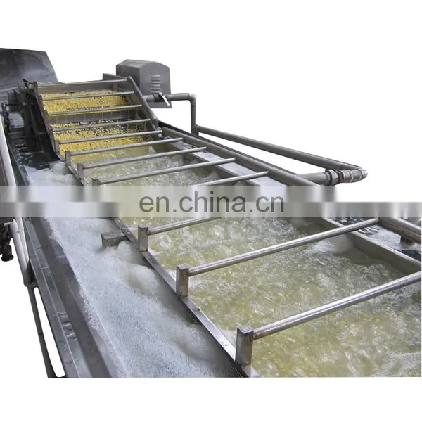 Bubble Fruit Washing Machines Industrial Commercial Vegetable Washer
