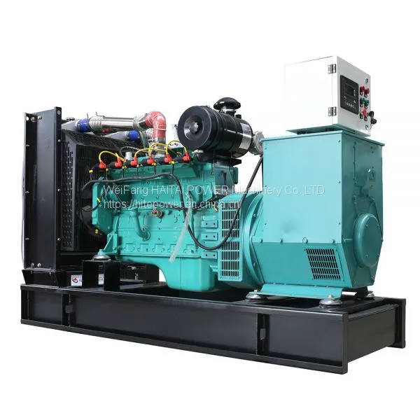 10kw CHP Biogas Methane Engine Generator Supplier photo-4