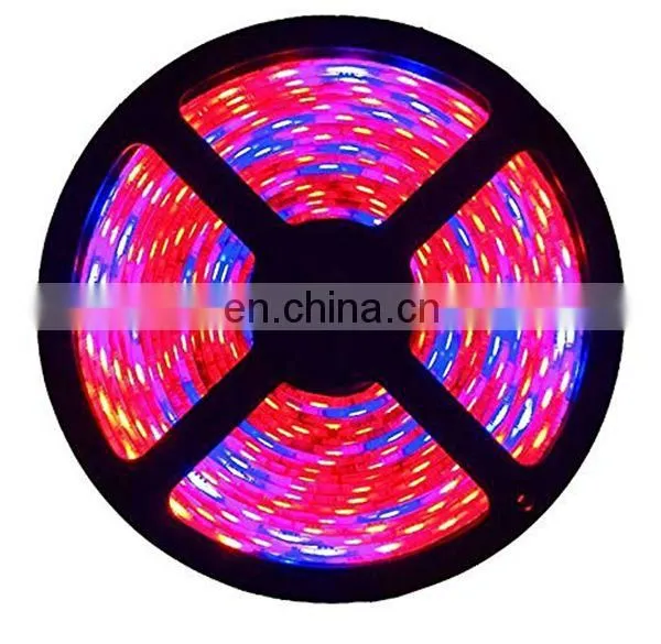 DC12V 5050 Full Spectrum Led Grow Strip Light Red:blue 3:1,4:1,5:1 Led Plant Growth photo-4