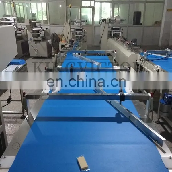 Mesin Snack Biscuit Packing Machine Banana Chips Packaging Line for Flow Machine photo-2