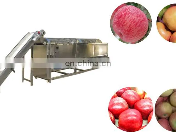 Vegetable and Fruit Avocado Garlic Tomato Pomelo Pomegranate Cherry Washing Grading Sorting Machine photo-5