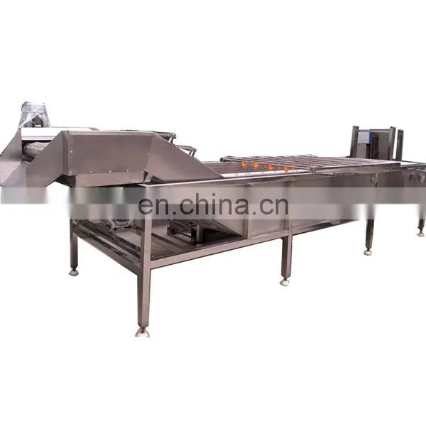 Stainless Steel Apple/pear/mango/fruit/vegetable Washing/cleaning/processing Machine/equipment photo-3