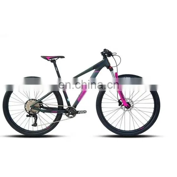 Variable Speed Shock Absorber Bicycle Baking Paint With a Disc Brake Mountain Bike photo-2