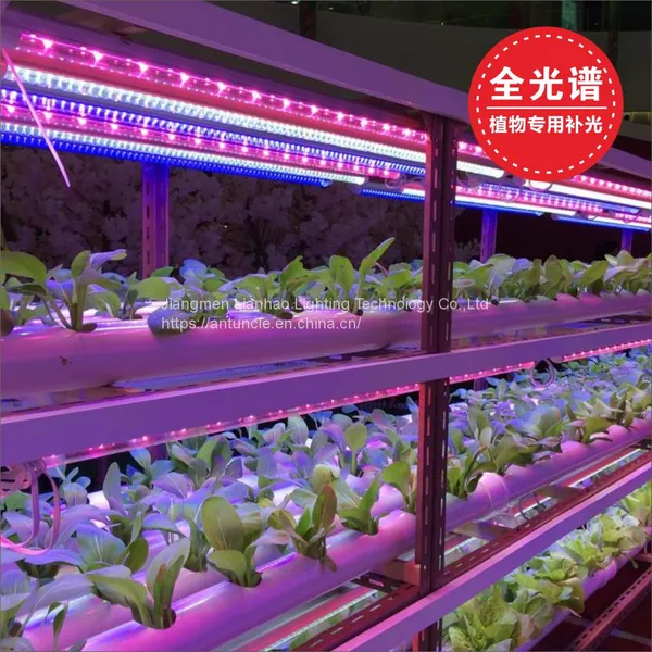 T8 Full Spectrum LED Plant Growth Lamp photo-4