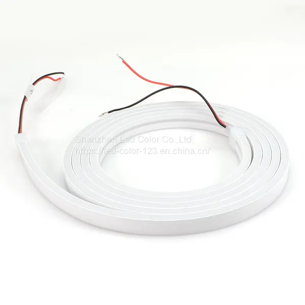New Arrivlas LED Neon Flex 60leds/M DC12V/24V 2835 LED Strip Light With Silicone Tube Waterproof Neon Flex LED Strip photo-5