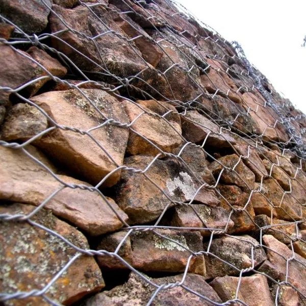Vente en gros de cages gabions en treillis hexagonal galvanisé avec revêtement PVC pour les berges de rivière