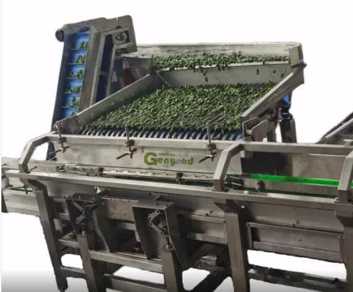 Professional Full Automatic Canned Pickles Vegetables Cucumber Production Line photo-5