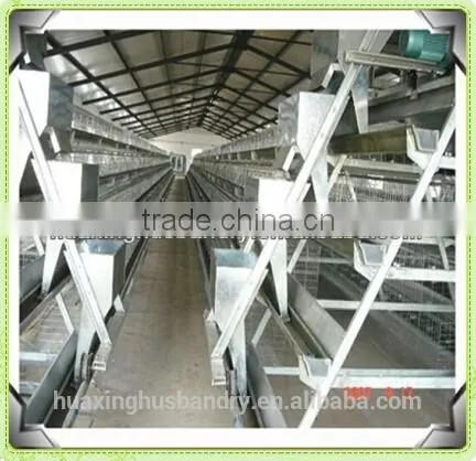 Industrial Chicken House of Battery Cage