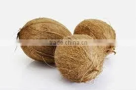 Fresh Coconut