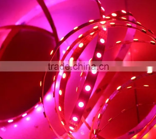 Digital Addressable Rgb Led Strip Non-waterproof Ws2813 Ws2812b Led Strip photo-3