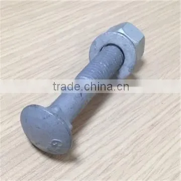 Carriage Bolts Din 603 HDG Color photo-2