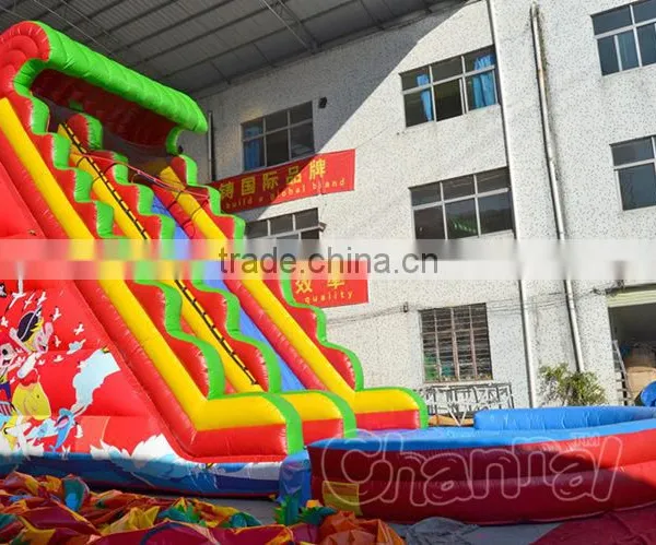 Giant Inflatable Water Slide for Kids and Adult, Used Inflatable Water Slide Pool for Sale photo-3