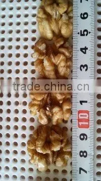 Supply Walnut- Natural Walnut Kernels Light Halves photo-3