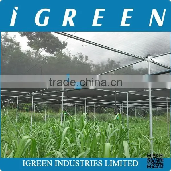 Agricultural Black Shade Net House