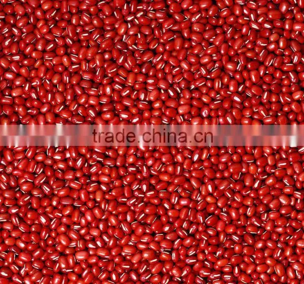 2016 New Crop Chinese Small Red Kidney Beans(Adzuki Beans) photo-4