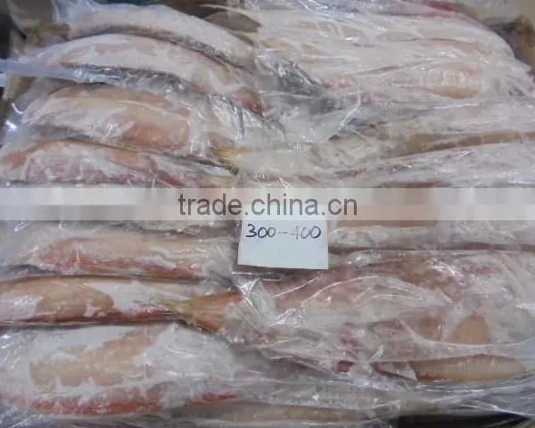 FROZEN SOLE FISH photo-4