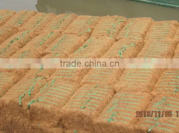 Coconut Fiber High Quality ( QQ: 2598494113) photo-5