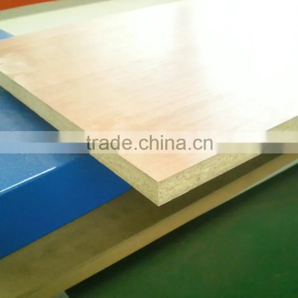 2014 Hot Sales SHUNDE Woodworking Machine - Double End Tenoner photo-6