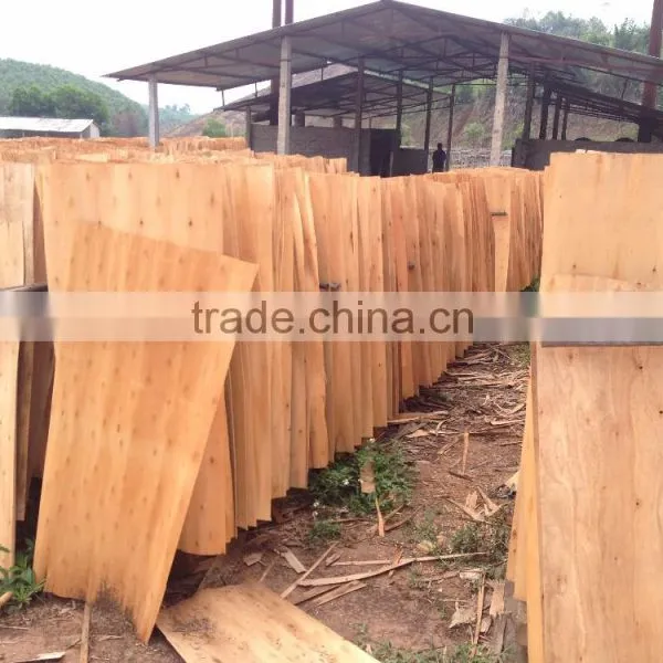 Eucalyptus Core Veneer With High Quality in Viet Nam photo-6