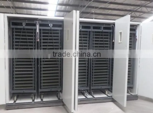 Incubateur Pour Les Oeufs de Caille/ Incubateur Capacity 33792 in Algeria photo-3