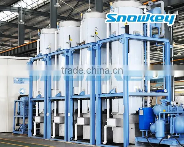 Qualited Sanitary & Edible Ice Small Capacity Tube Ice Machine (1T 20T 30T/D) From Snowkey photo-3