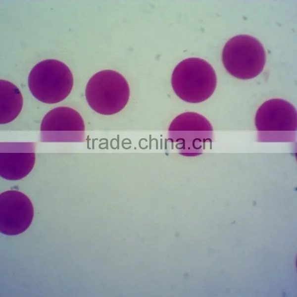 Students Glass Slides,chick Embryo Microscope Slides photo-4