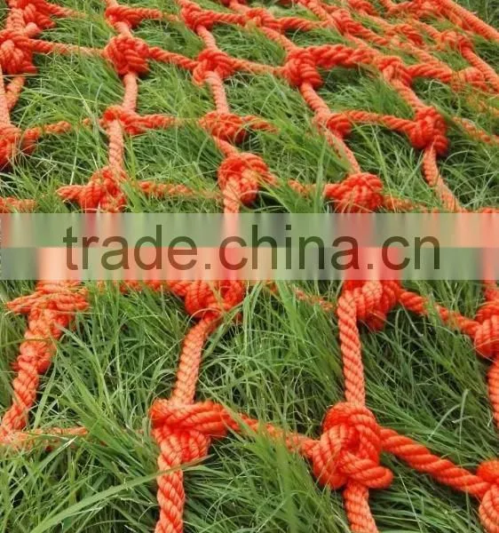 Climbing Net