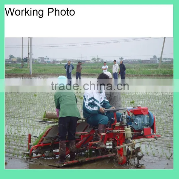 Philippine Diesel 6 Rows Rice Transplanter Price photo-3