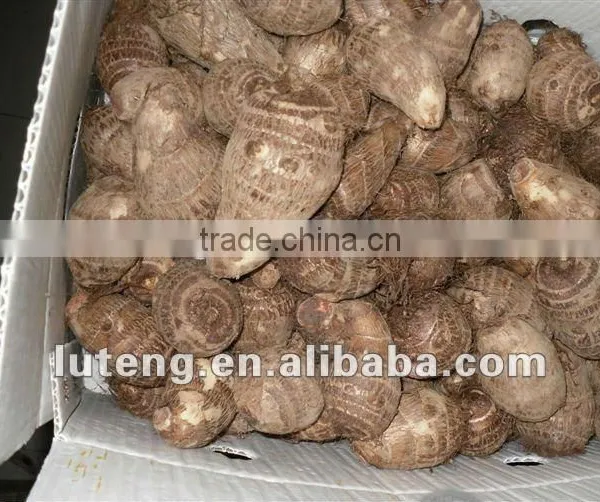 2015 Supplier of Good Taste and Natural Taro in China photo-4